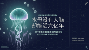 水母没有大脑却能活六亿年