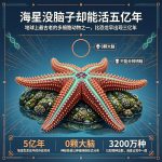 海星没脑子却能活五亿年