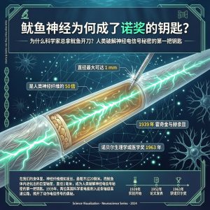 鱿鱼1毫米粗的神经,为何成了诺奖的钥匙?